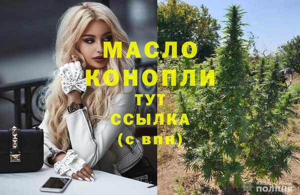 mdpv Инсар